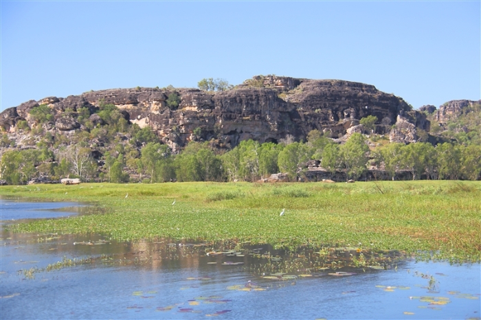 _800Mt Borradaile - Cooper Creek_5660_m